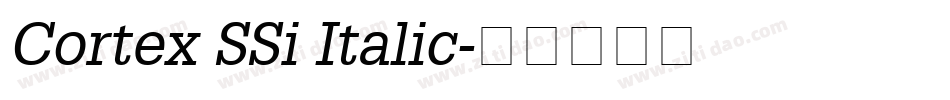 Cortex SSi Italic字体转换
